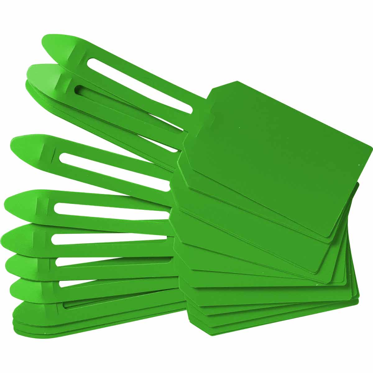 GREEN LOCK ON TAGS - BLANK