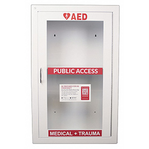 COMBO ALARMED WALL CABINET FOR AED & MCU